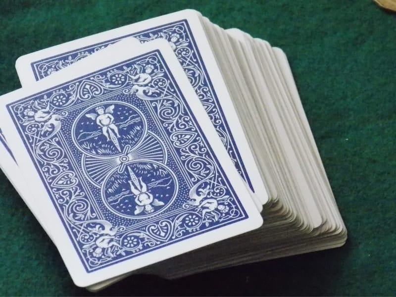 เสือมังกร